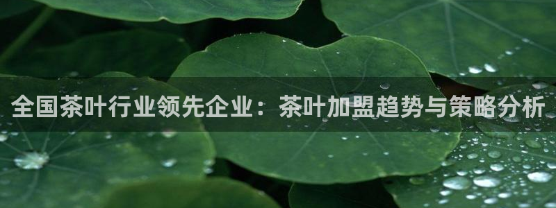 安信安盈12最新消息