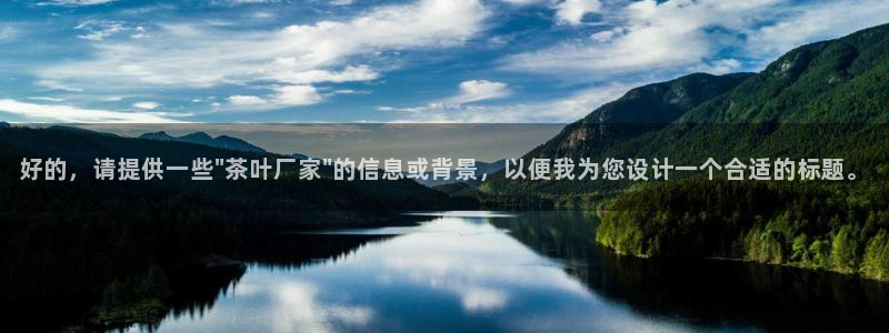 安信12软件介绍