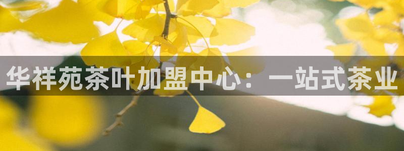安信12官网qq