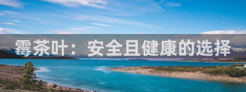 安信12包赔