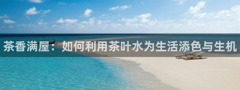 安信12代理