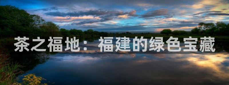 安信安翼 12账号