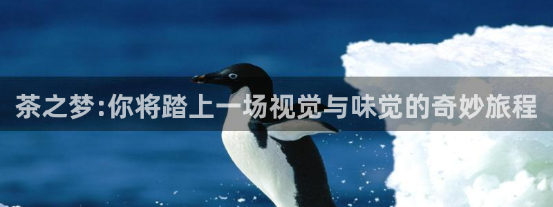 安信可12f代码