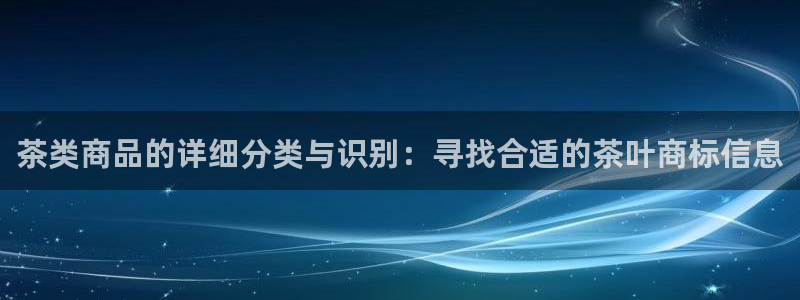 安信12负责人