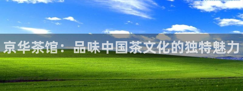 安信12软件介绍