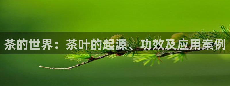 安信12月金股