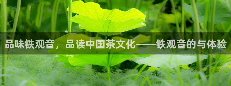 安信12级灯牌
