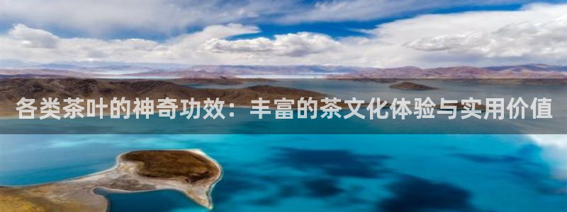 安信12位资金账号