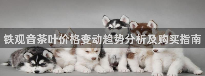 安信卓越12月