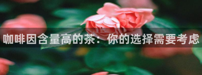 安信12彩票app下载
