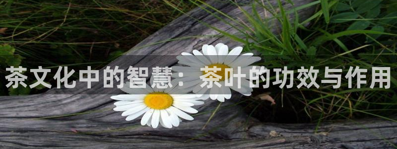 安信12平台开户