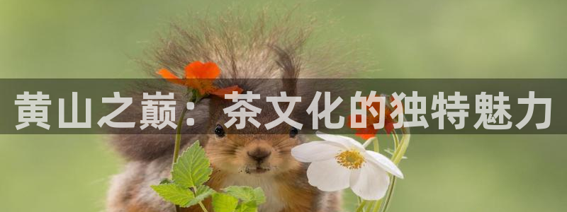 安信12平台最新消息