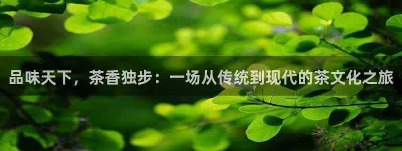 安信12是什么