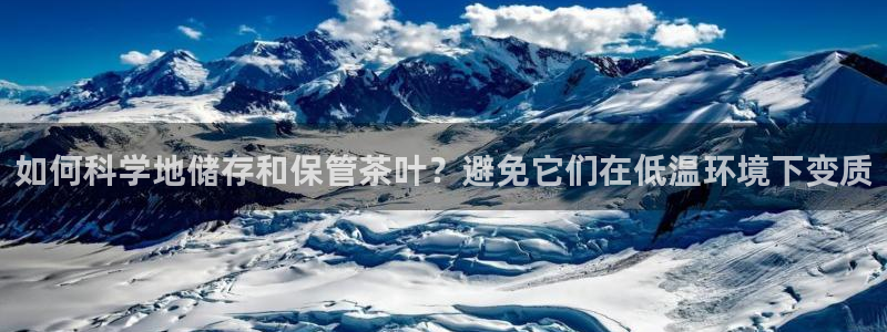安信12正版下载
