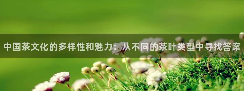 安信12级