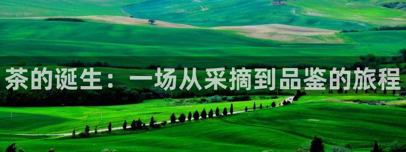 安信安赢12号