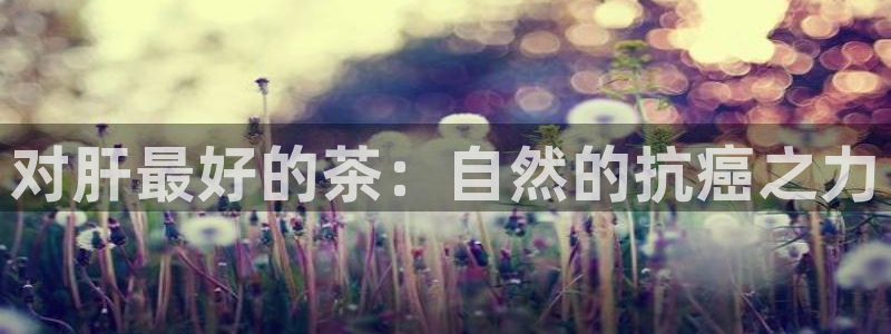 安信可esp-12