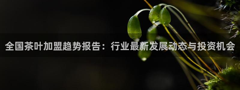 安信12娱乐7o777还