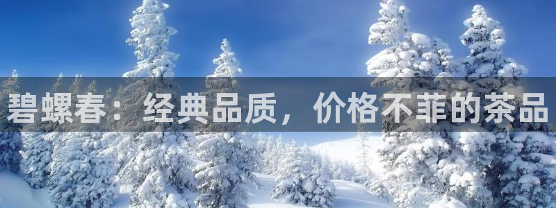 安信12娱乐代理