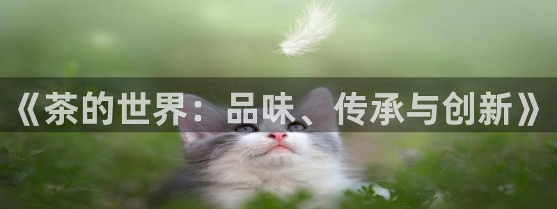 安信cwa12