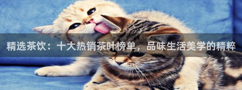 安信 12