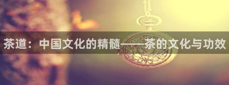 安信证券手机壳12