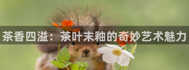 安信12注册登录