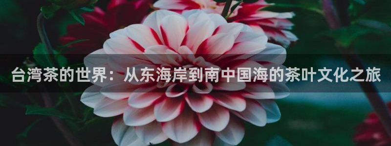 安信esp 12k