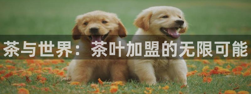安信12周年