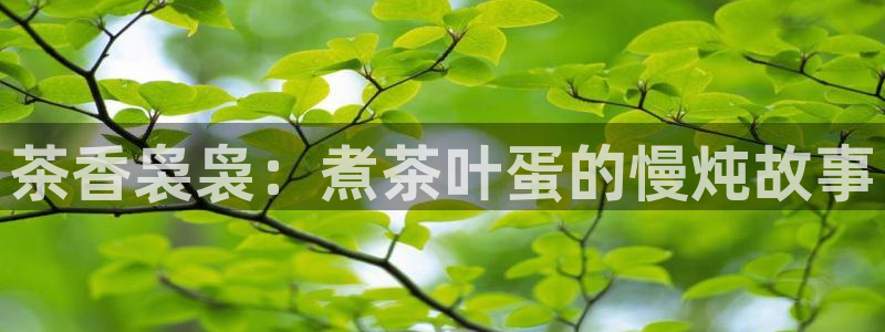 安信12代理