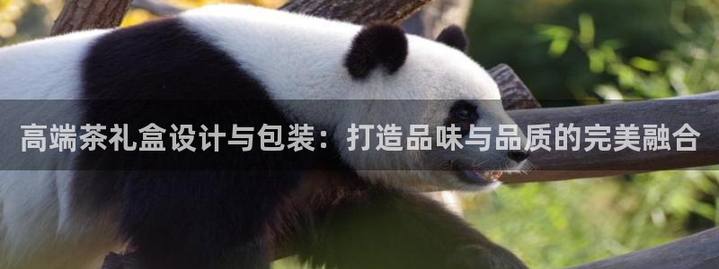 安信12是什么平台