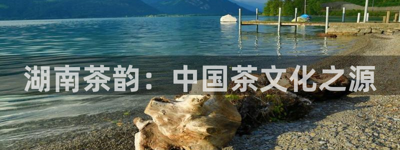 安信12娱乐7o777还