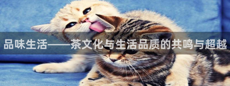 安信12周年庆典