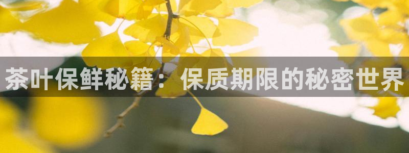 安信12正版下载