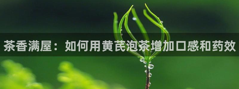 安信12月金股