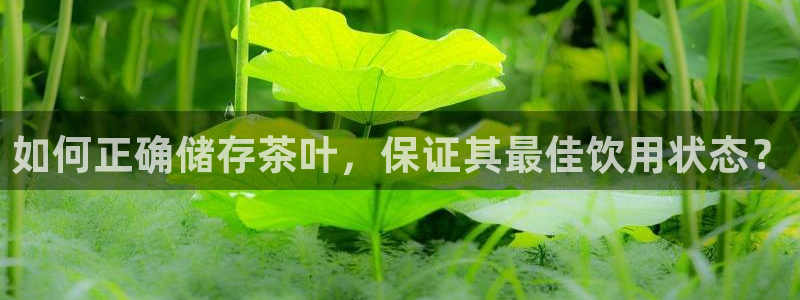 安信娱乐12登录地址