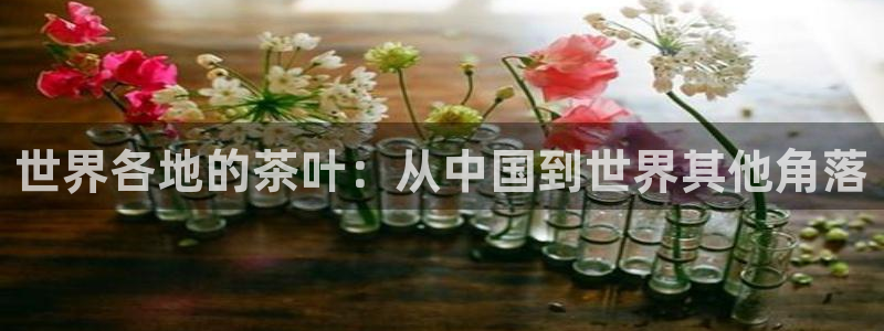 安信4娱乐去55 12