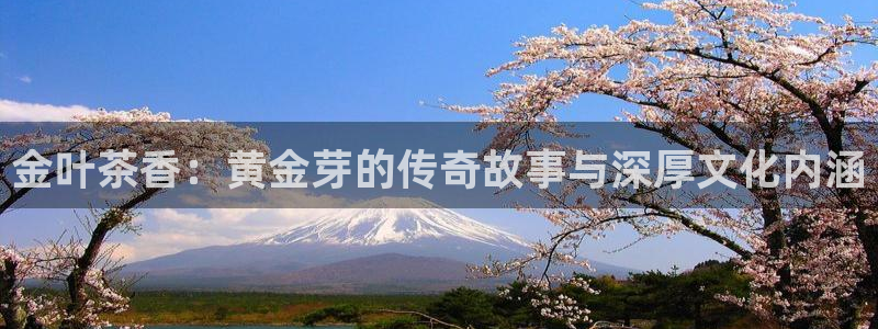 安信t12