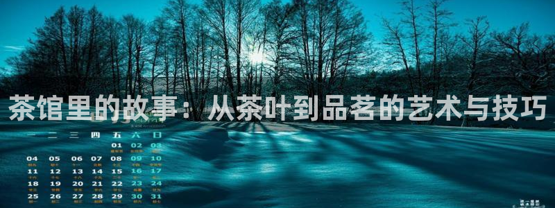 安信12位资金账号