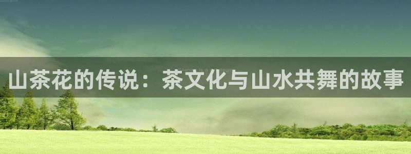 安信4娱乐去55 12