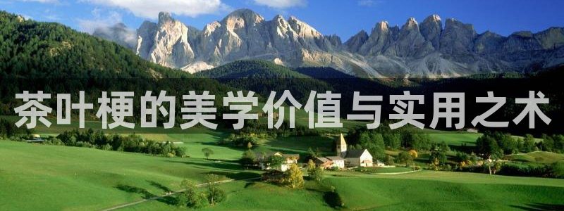 安信12怎么注册