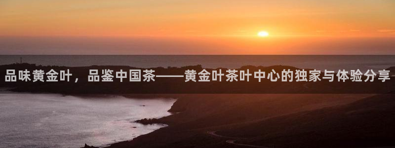 安信12是正轨网站吗