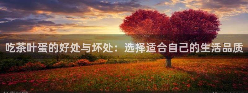 安信12级大众