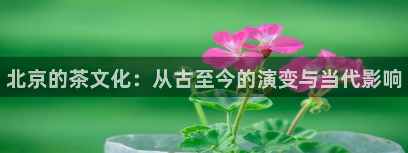 安信12app下载