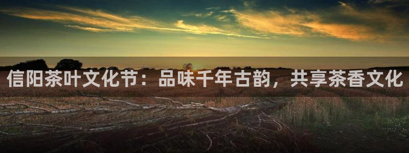 安信12注册咋7O777