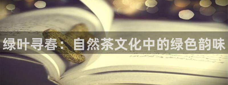 安信12真假