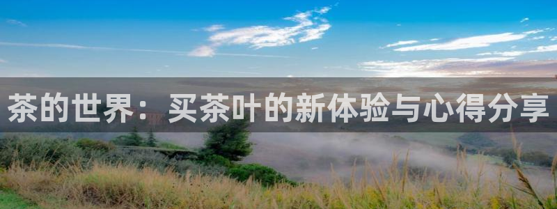 安信12是正规平台吗