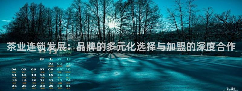 安立信T12测评
