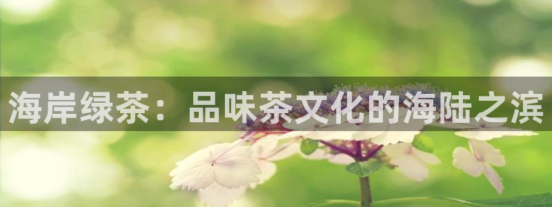 安信可12f代码