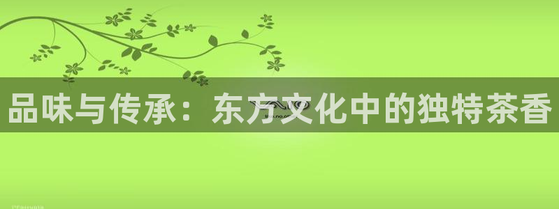 安信12挂机